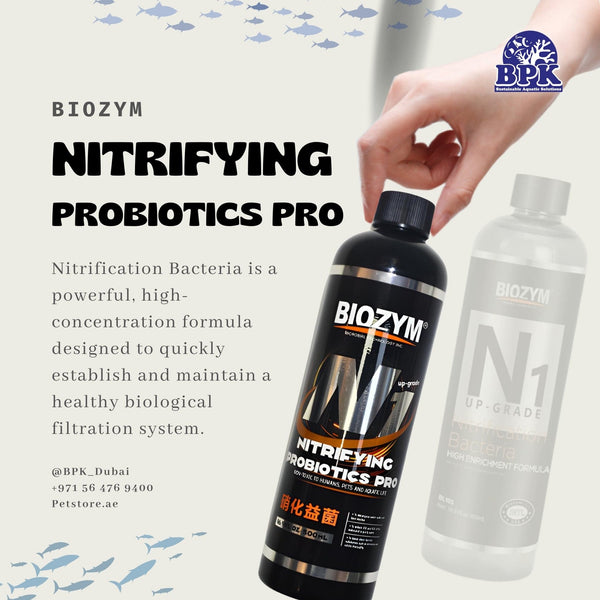 Biozym Additives & Supplements / Nitrifying Bacteria Biozym N1 Nitrification Bacteria – High-Concentrate Beneficial Bacteria for Freshwater & Marine Aquariums