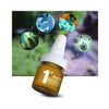 Biozym Aquarium Water Treatments / Fungal & Bacterial Treatments Biozym Bacteria Control 2GX10 – Advanced Biological Treatment for Common Fish Diseases