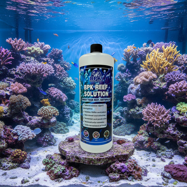 BPK Additives & Supplements / Aquarium Water Treatments BPK Reef Solution 1L | Natural All-in-One Reef & Coral Booster