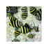 files/bpk-farm-invertebrates-bumble-bee-snail-41013706391782.jpg