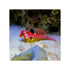 files/bpk-farm-invertebrates-ruby-red-dragonet-synchiropus-sycorax-40770205221094.jpg
