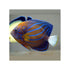 files/bpk-farm-live-stock-annularis-angelfish-pomacanthus-annularis-40666934345958.jpg