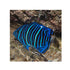 files/bpk-farm-live-stock-annularis-angelfish-pomacanthus-annularis-40666934673638.jpg