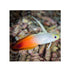 files/bpk-farm-live-stock-fire-fish-40588623970534.jpg