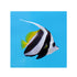 files/bpk-farm-live-stock-longfin-bannerfish-40629389557990.jpg