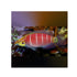 files/bpk-farm-live-stock-mystery-wrasse-40530509005030.jpg