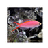 BPK Farm LIVE STOCK Pink Anthias