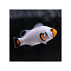 BPK Farm LIVE STOCK Platinum Clownfish