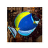 files/bpk-farm-live-stock-powder-blue-tang-acanthurus-leucosternon-40514189918438.jpg