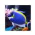 files/bpk-farm-live-stock-powder-blue-tang-acanthurus-leucosternon-40514189983974.jpg