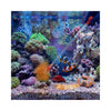 BPK Fish, Marine Inverts and Coral Food BPK Coral Feast Pro – Ultra-Fine Powdered Coral Nutrient Blend