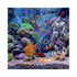 files/bpk-fish-marine-inverts-and-coral-food-bpk-coral-feast-pro-ultra-fine-powdered-coral-nutrient-blend-1234270090.jpg