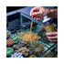 files/bpk-fish-marine-inverts-and-coral-food-bpk-zo-pods-gold-golden-copepod-plankton-concentrate-250ml-1234451915.jpg