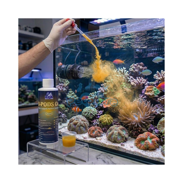 BPK Fish, Marine Inverts and Coral Food BPK ZO-PODS Gold – Golden Copepod Plankton Concentrate (250ml)