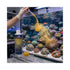 files/bpk-fish-marine-inverts-and-coral-food-bpk-zo-pods-gold-golden-copepod-plankton-concentrate-250ml-1234451916.jpg