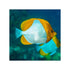 files/cains-live-stock-pyramid-butterflyfish-hemitaurichthys-polylepis-40667387232486.jpg