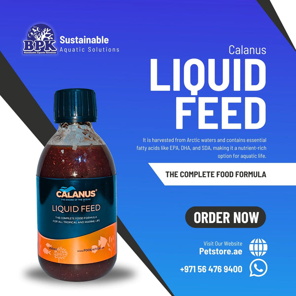 Calanus Fish and Coral Food Calanus Liquid Feed 250ml – Premium Marine Nutrition with 12-Month Shelf Life