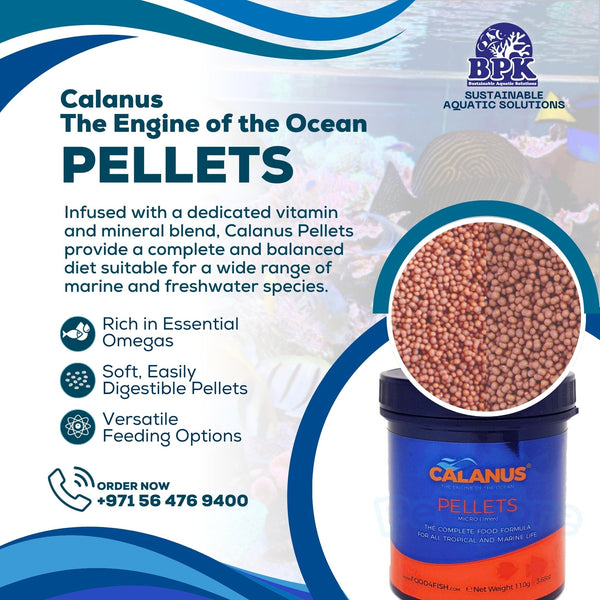 Calanus Fish and Coral Food Calanus Pellet Micro 1mm – 110g | Premium Soft Sinking Fish Food