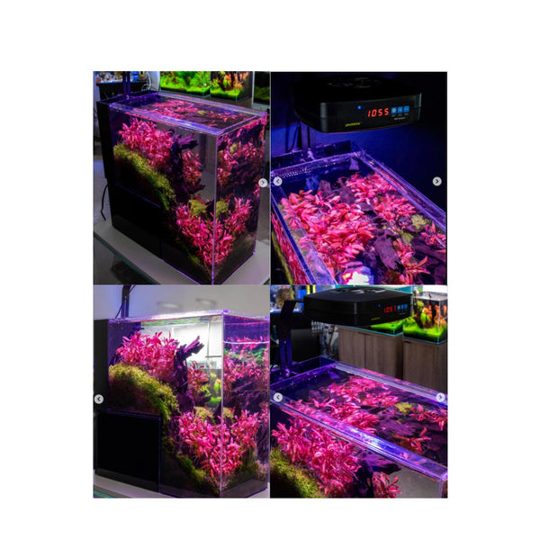 Dymax Aquatics / Aquarium Tanks DYMAX IQ9 Mini Drop Off Aquarium – Freshwater or Marine (DM697)