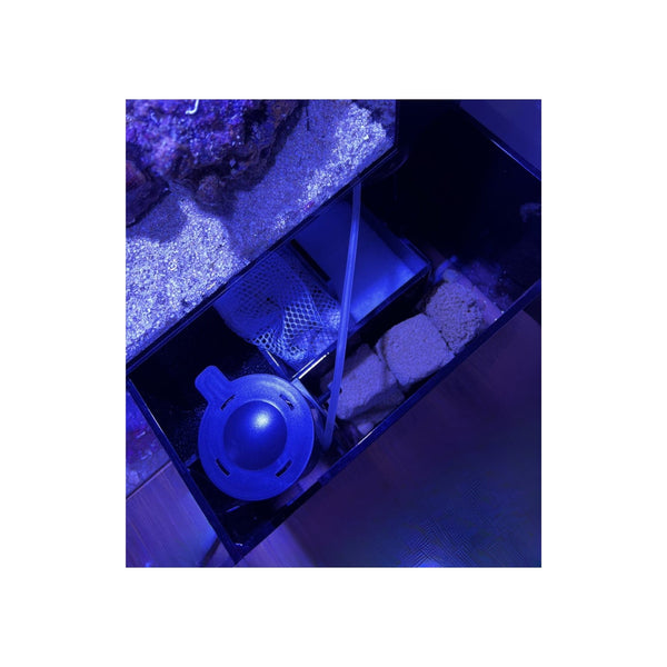 Dymax Aquatics / Aquarium Tanks DYMAX IQ9 Mini Drop Off Aquarium – Freshwater or Marine (DM697)