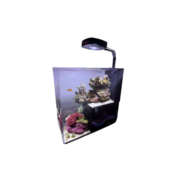 Dymax Aquatics / Aquarium Tanks DYMAX IQ9 Mini Drop Off Aquarium – Freshwater or Marine (DM697)