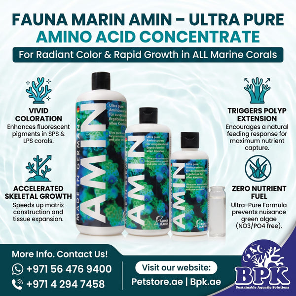 Fauna Marin Additives & Supplements Fauna Marin Amin – Ultra Pure Amino Acid Concentrate