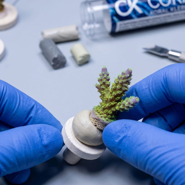 Fauna Marin Aquatics Fauna Marin Coral Kit – Professional Black Coral Adhesive