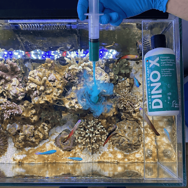 Fauna Marin Aquatics Fauna Marin Dino X | Dinoflagellate & Algae Treatment