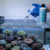 Fauna Marin Aquatics Fauna Marin Recon X 500ml | Coral Tissue Recovery Supplement