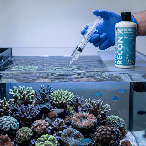 Fauna Marin Aquatics Fauna Marin Recon X 500ml | Coral Tissue Recovery Supplement