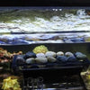 Flipper Aquatic Accessories Flipper -  Magnetic Frag Station - Frag Rack with Removeable Shelf - Holds 14 Frags