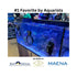 files/flipper-aquatics-flipper-deepsee-viewer-magnetic-aquarium-magnifier-1171996455.jpg