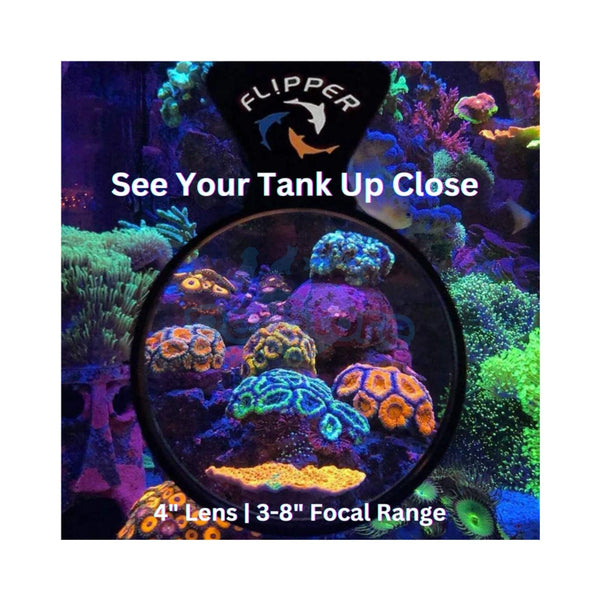 Flipper Aquatics Flipper - DeepSee Viewer – Magnetic Aquarium Magnifier