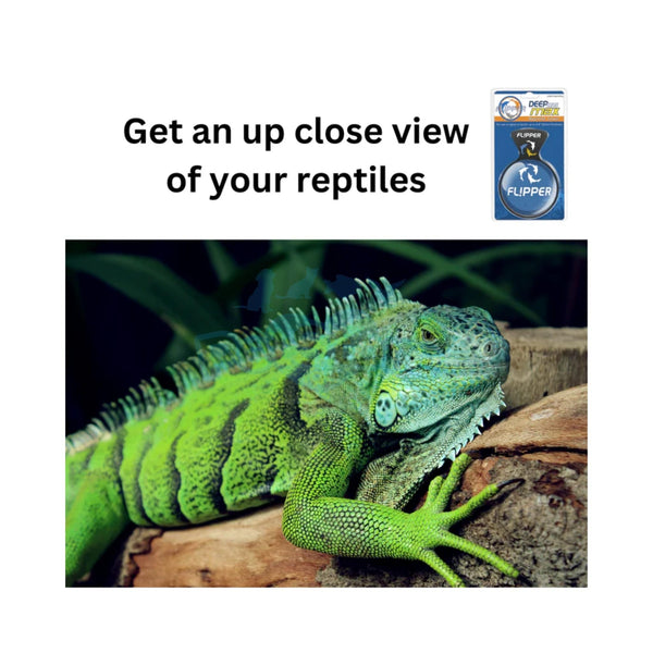 Flipper Aquatics Flipper - DeepSee Viewer – Magnetic Aquarium Magnifier