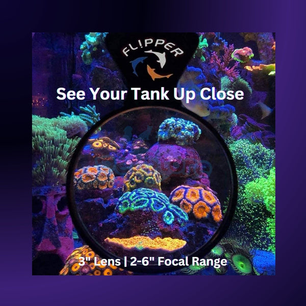 Flipper Aquatics Flipper - DeepSee Viewer – Magnetic Aquarium Magnifier