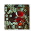 files/indonesia-live-stock-clownfish-premnas-biaculeatus-maroon-clown-40735776506086.jpg