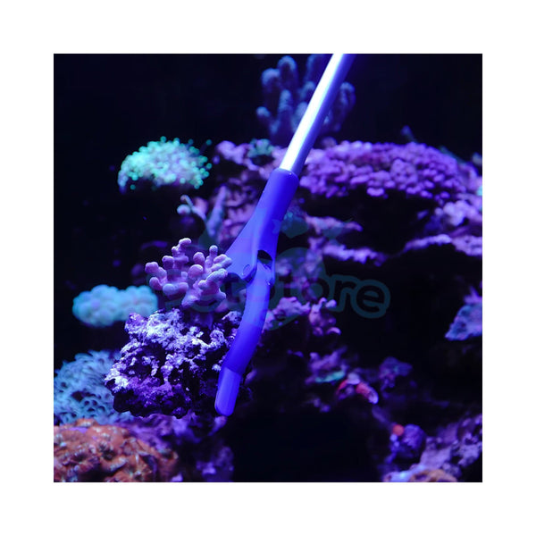 Maxspect Aquarium Accessories / Coral Gripper Maxspect - Coral Gripper