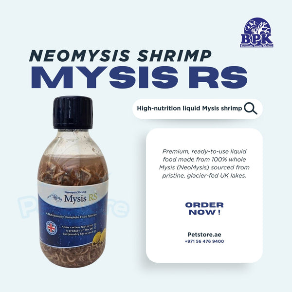 Neomysis Shrimp Fish and Coral Food Neomysis Shrimp - Mysis RS Liquid – Premium Reef-Safe Liquid Mysis Shrimp (250ml)