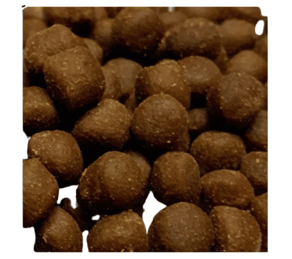 Ocean Nutrition Fish and Coral Food Ocean Nutrition Coral Pellets | Semi-Moist LPS & Ricordea Food