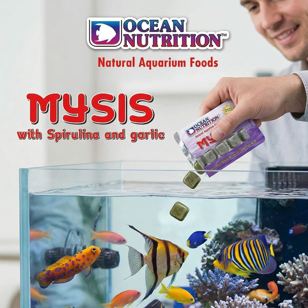 Ocean Nutrition Food Ocean Nutrition Frozen Mysis – Spirulina & Garlic Enriched
