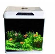 Oblong Aquarium - R400Black/White