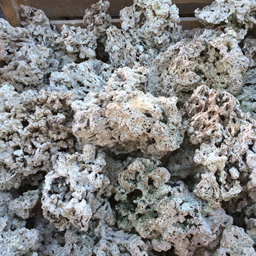 Pukani Rock - ( DRY ock) – PetStore.ae