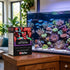 files/petstore-ae-red-sea-reef-mature-starter-kit-1222204060.jpg