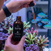 Polyp Lab Food Polyp-Booster – Advanced Coral Feeding Stimulant & Nutritional Solution