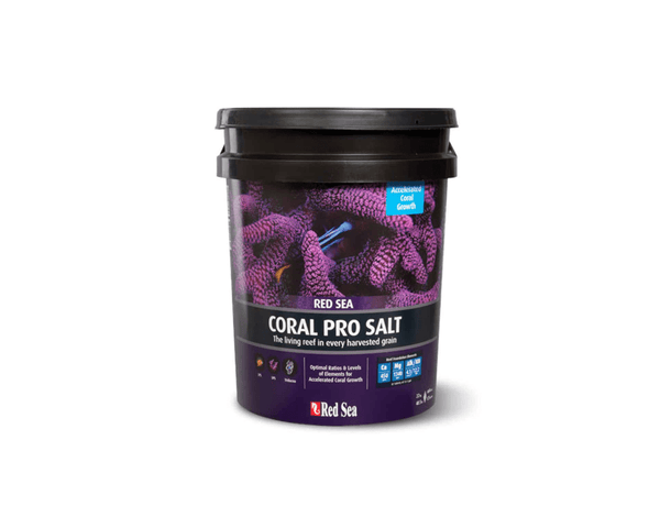 Red Sea Additives & Supplements / Aquarium Salt 22kg Red Sea Coral Pro Salt - Accelerated Growth Formula (Black Bucket)