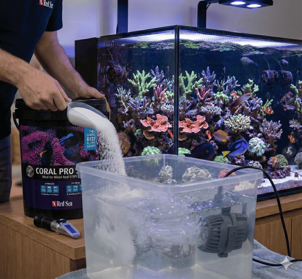 Red Sea Additives & Supplements / Aquarium Salt Red Sea Coral Pro Salt - Accelerated Growth Formula (Black Bucket)