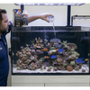 Red Sea Additives & Supplements Red Sea Reef Foundation C | Magnesium Supplement for Corals