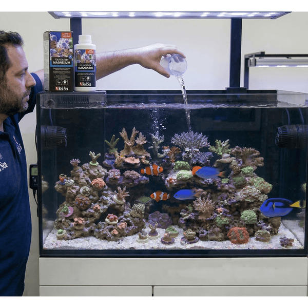 Red Sea Additives & Supplements Red Sea Reef Foundation C | Magnesium Supplement for Corals