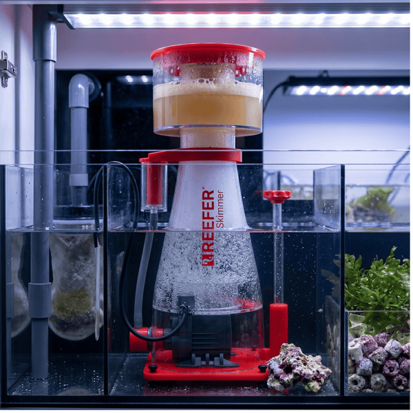 Red Sea Aquarium Protein Skimmers Red Sea REEFER™ Protein Skimmer 300, 600, 900 | Professional Reef Filtration
