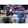 Red Sea Aquatics 500ml Red Sea KH Coralline Gro | Alkalinity & Trace Element Complex